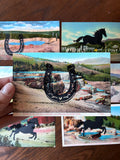 Postcard Prints - Black Horseshoe