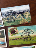 Postcard Prints - Mushroom Print