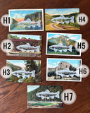 Postcard Prints - White Trout