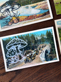 Postcard Prints - Mushroom Print