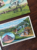 Postcard Prints - Mushroom Print