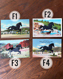 Postcard Prints - Black Horse