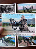 Postcard Prints - Black Butterfly