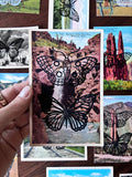 Postcard Prints - Butterfly Moth Stack