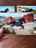 Postcard Prints - Black Horse