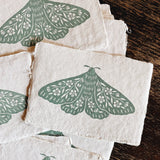 5x7 Seafoam Green Floral Moth