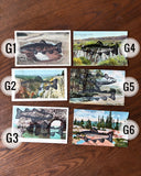 Postcard Prints - Black Trout