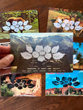 Postcard Prints - Pixelated Floral
