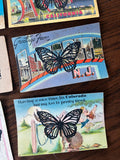 Postcard Prints - Butterfly Vintage Odds