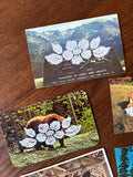 Postcard Prints - Pixelated Floral