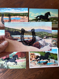 Postcard Prints - Black Horseshoe