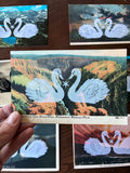 Postcard Prints - Swan Love Birds