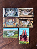 Postcard Prints - More Moth & Butterfly