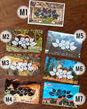 Postcard Prints - Pixelated Floral