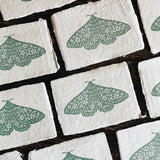 5x7 Seafoam Green Floral Moth