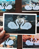 Postcard Prints - Swan Love Birds
