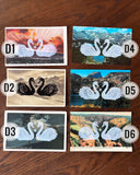 Postcard Prints - Swan Love Birds