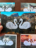 Postcard Prints - Swan Love Birds