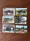 Postcard Prints - Black Trout