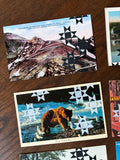 Postcard Prints - Quilt Print Continued (Black & White Ink)