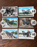 Postcard Prints - Black Butterfly