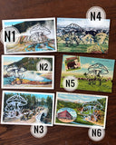 Postcard Prints - Mushroom Print