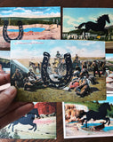 Postcard Prints - Black Horseshoe