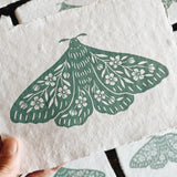 5x7 Seafoam Green Floral Moth